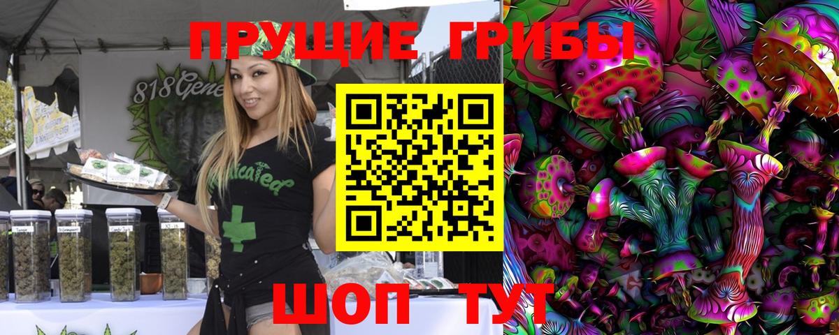 Псилоцибиновые грибы Psilocybine cubensis  Вход с VPN  Бердск 
